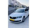 2017 Skoda Octavia 1.6 TDI DSG Optimal Paket
