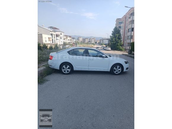 EN SEVİLEN OCTAVİA OPTİMAL