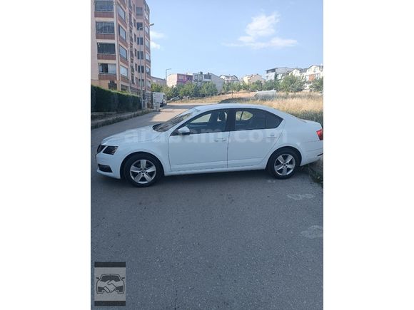 EN SEVİLEN OCTAVİA OPTİMAL
