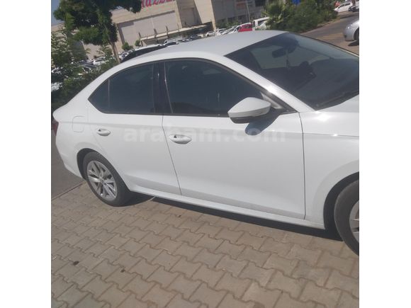 Sahibinden Skoda Octavia elite1.0 e-tec 2021 Model
