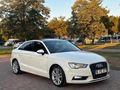 Cam tavan sline a3