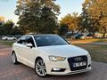 Cam tavan sline a3