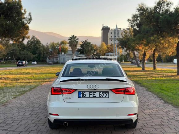 Cam tavan sline a3