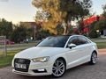 Cam tavan sline a3