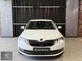 2019 SKODA OCTİVA 1.6 TDI STYLE DSG