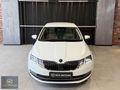 2019 SKODA OCTİVA 1.6 TDI STYLE DSG