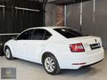 2019 SKODA OCTİVA 1.6 TDI STYLE DSG