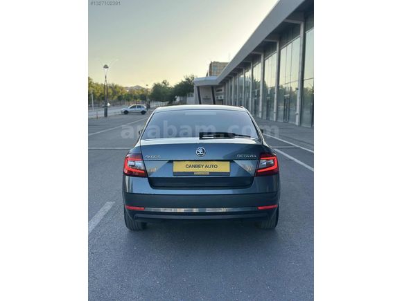 CANBEY AUTO DAN HATASIZ OCTAVIA
