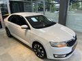 HATASIZ / 2 LOKAL YANDA / 2016 TAM OTOMOTİK