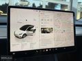 NIKOLA360/TESLA/MODEL Y/2024/KK TAKSİT