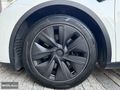 NIKOLA360/TESLA/MODEL Y/2024/KK TAKSİT