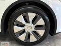 ASİL'den BOYASIZ 2024 Tesla Model Y Standart FULL PPF