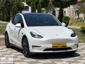 TESLA MODEL Y PERFORMANCE LEGACY FSD VE AKILLI SUMMON ALINMIS