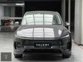 -VALERY- Boyasız 2025 16.000 Km Premium,İçi Beyaz,EAP OtoPilot