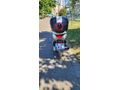 Honda Pcx 125  42100 kl
