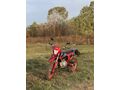 Sahibinden Kuba Race 125 