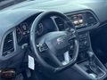 GERGER AUTO LEON/FR/CAM/TVN