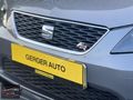 GERGER AUTO LEON/FR/CAM/TVN