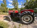 Sahibinden Massey Ferguson 250 Gold 
