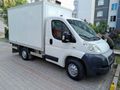 FULL BAKIMLI 130BG ORJ 194Bin KM DUCATO 2014