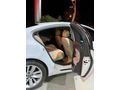 Sahibinden Opel Insignia 1.6 CDTI Edition Elegance 2016 Model