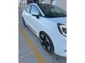 İlk Sahibinden Ford Puma- E Premium 2025 Model hatasız  
