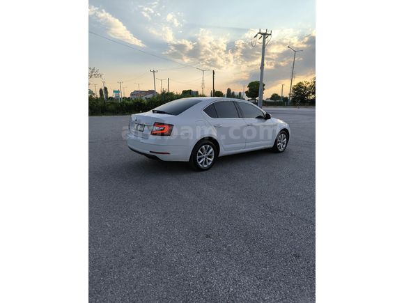 107 BİN de  2019 Octavia STYLE sahibinden