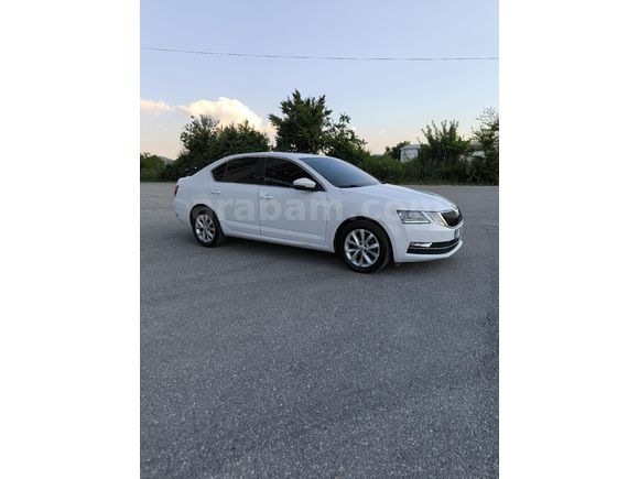 107 BİN de  2019 Octavia STYLE sahibinden