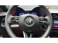 '''GARDEN'''ŞAMPANYA/SİYAH 2025 ALFA ROMEO SPECİALE