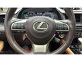 '''GARDEN'''2018 BEYAZ/TABA LEXUS RX300 4X4