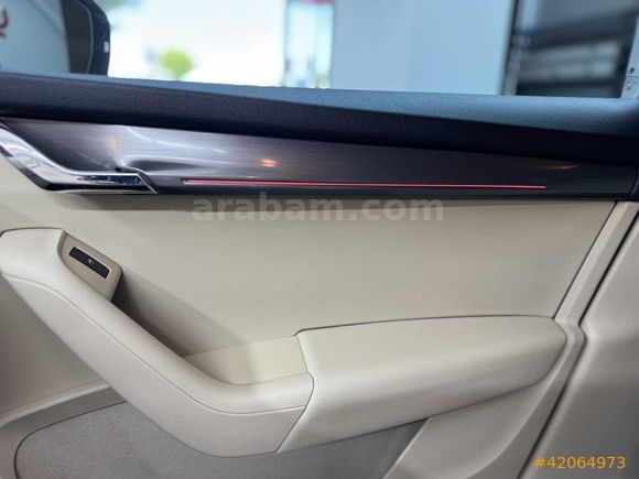 YUŞA AUTO - DEĞİŞENSİZ BAKIMLI OCTAVİA/2019