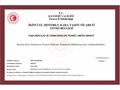 YUŞA AUTO - DEĞİŞENSİZ BAKIMLI OCTAVİA/2019