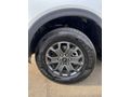 Sahibinden Ford Ranger 2.0 EcoBlue 4x4 Wildtrak 2023 Model 
