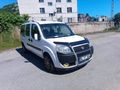 Sahibinden Fiat Doblo Combi 1.3 Multijet Maxi Dynamic 2008 Model