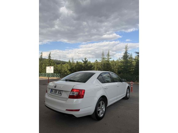 Sahibinden Skoda Octavia 1.6 TDI Optimal 2014 Model 