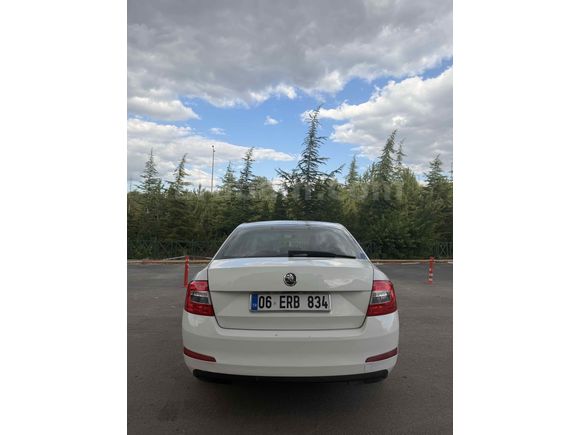 Sahibinden Skoda Octavia 1.6 TDI Optimal 2014 Model 