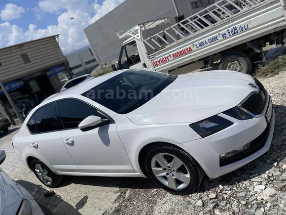 Sahibinden Skoda Octavia 1.6 TDI Optimal 2019 Model 