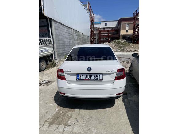 Sahibinden Skoda Octavia 1.6 TDI Optimal 2019 Model 