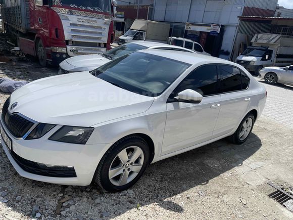 Sahibinden Skoda Octavia 1.6 TDI Optimal 2019 Model 