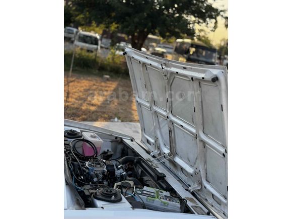 Kılçık gibi herşey sıfır Şahin 