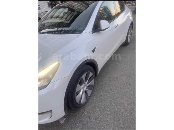 Sahibinden Tesla Model Y Performance (Legacy) 2023 Model 
