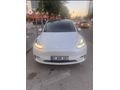 Sahibinden Tesla Model Y Performance (Legacy) 2023 Model 