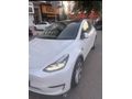 Sahibinden Tesla Model Y Performance (Legacy) 2023 Model 