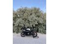 Acil satılık CFmoto 250SR 