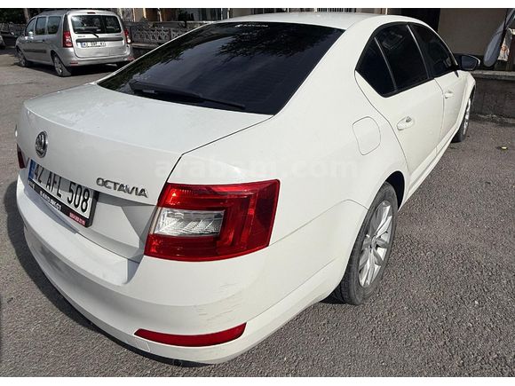 Sahibinden Skoda Octavia 1.6 TDI Optimal 2014 Model