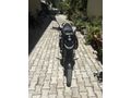 İlk sahibinden tertemiz sorunsuz 125 Drift L