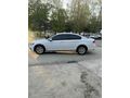 Sahibinden Volkswagen Passat 1.6 TDi BlueMotion Impression 2019 Model 