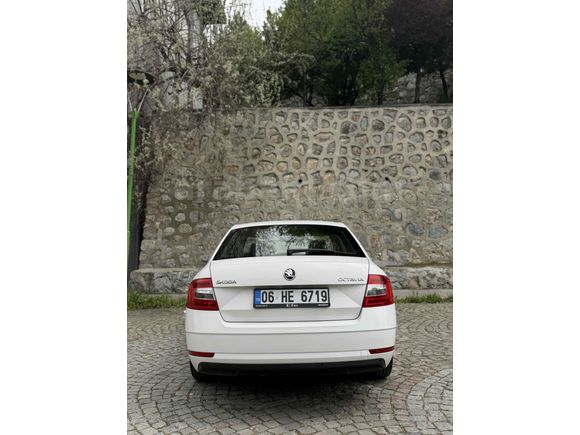 Sahibinden Skoda Octavia 1.6 TDI Optimal 2017 Model 