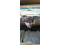 Sahibinden Chery Taxim 1.5