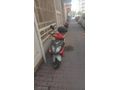 Sahibinden 125lik  Dorado Atlantis  Antalya